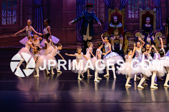 Sleeping Beauty264