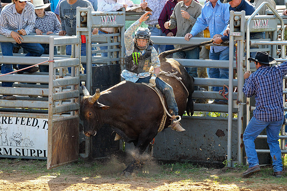 Bull Riding-128