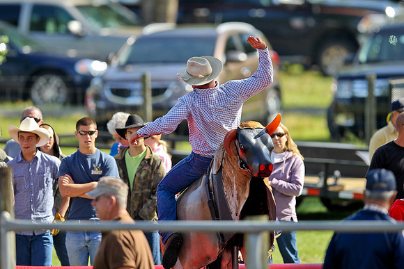 Bull Riding-82