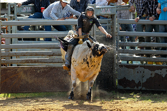 Bull Riding-117