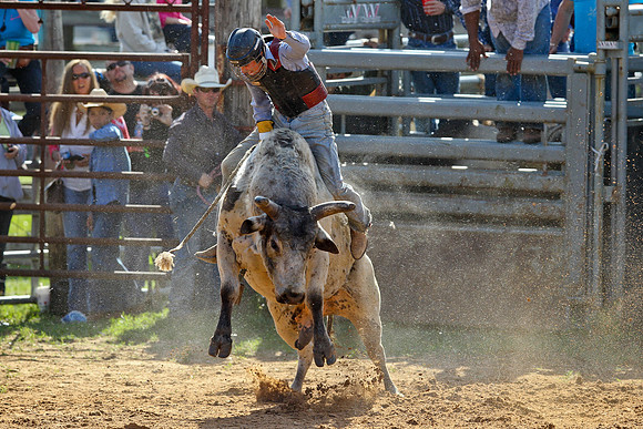 Bull Riding-159