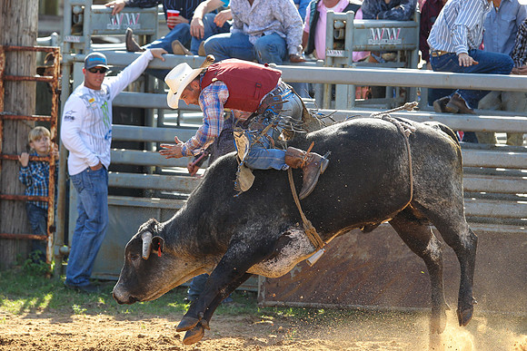 Bull Riding-198