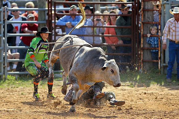 Bull Riding-97