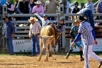 Bull Riding-5