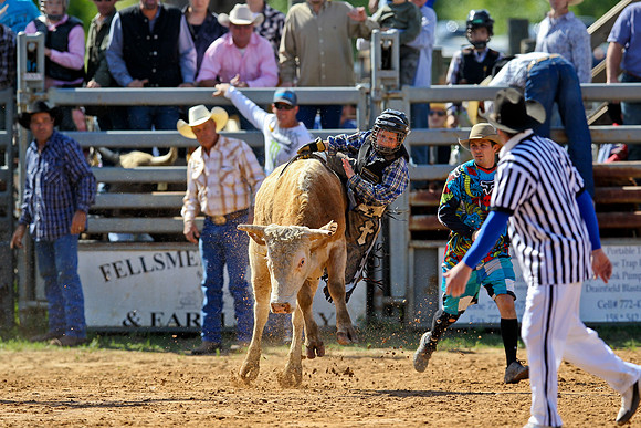 Bull Riding-5
