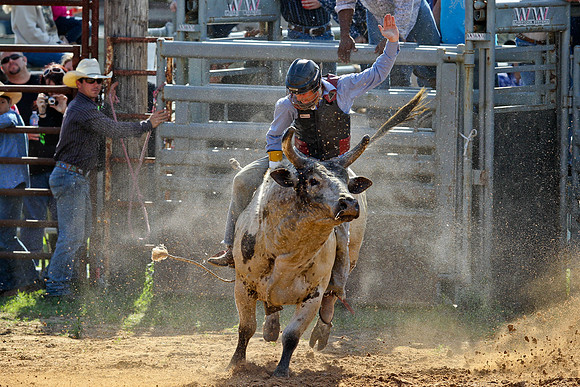 Bull Riding-156