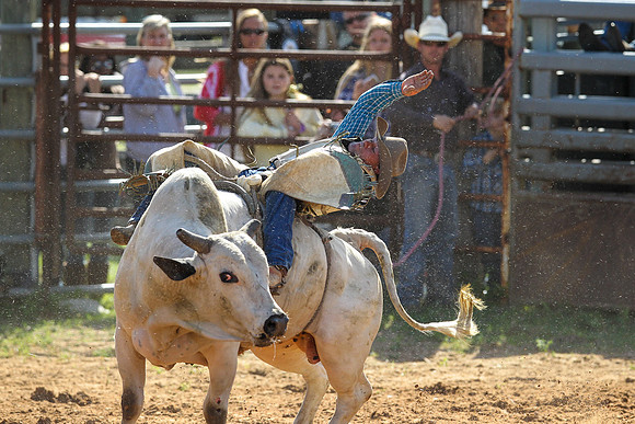 Bull Riding-184