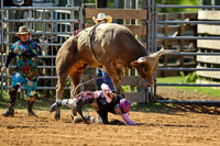 Bull Riding-18