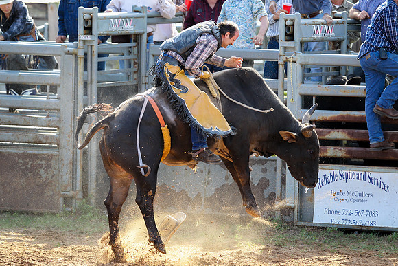 Bull Riding-256