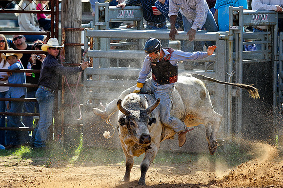 Bull Riding-155