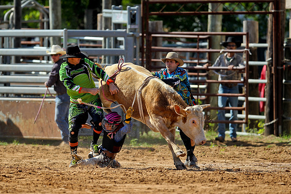 Bull Riding-45