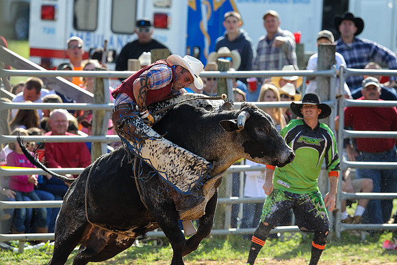 Bull Riding-208