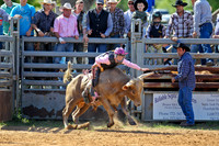 Bull Riding-12