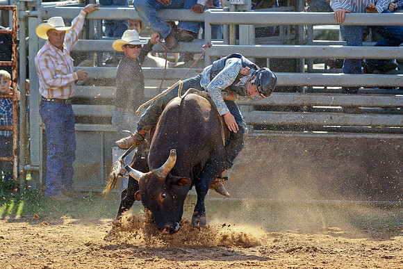 Bull Riding-139