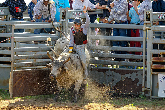 Bull Riding-149