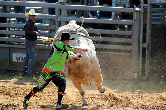 Bull Riding-250