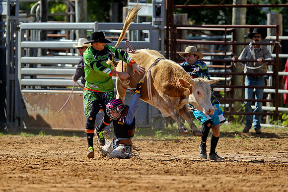 Bull Riding-44