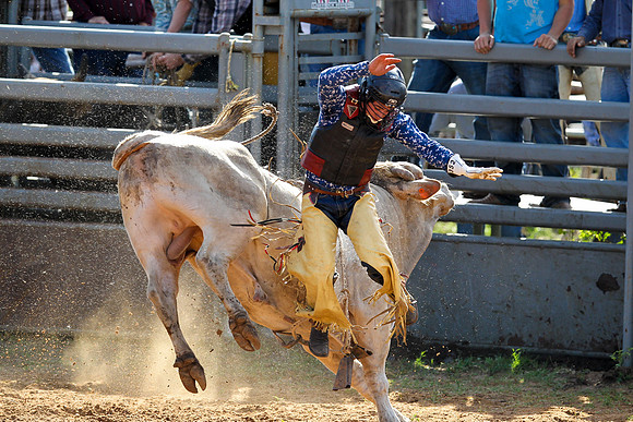 Bull Riding-249