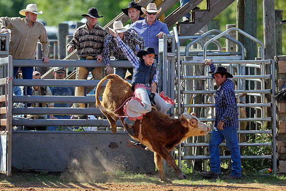Bull Riding-36
