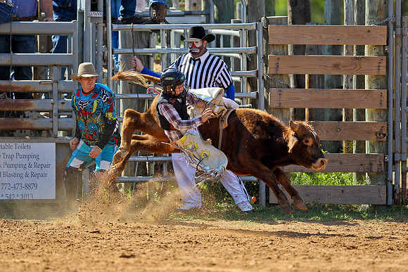 Bull Riding-29