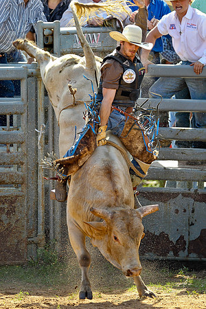 Bull Riding-107