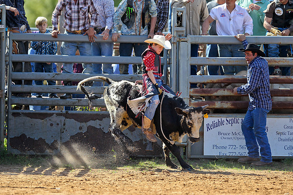 Bull Riding-48
