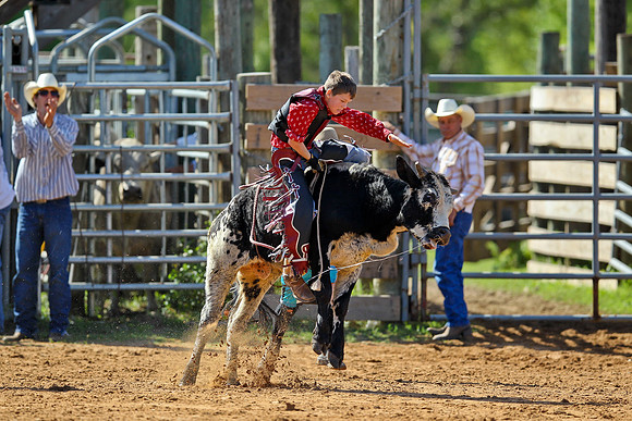 Bull Riding-64