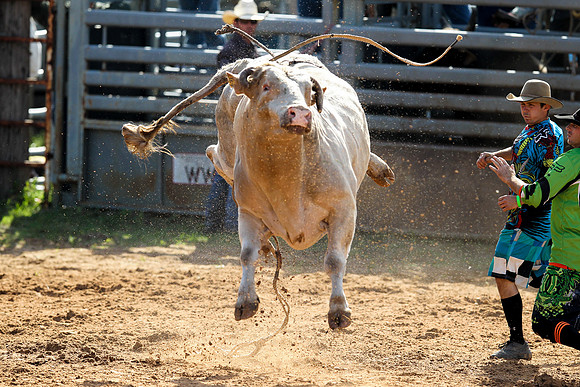 Bull Riding-251
