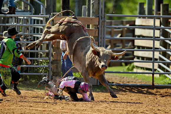 Bull Riding-19