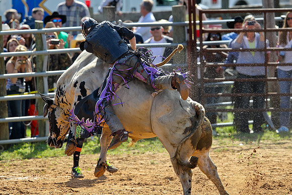 Bull Riding-124