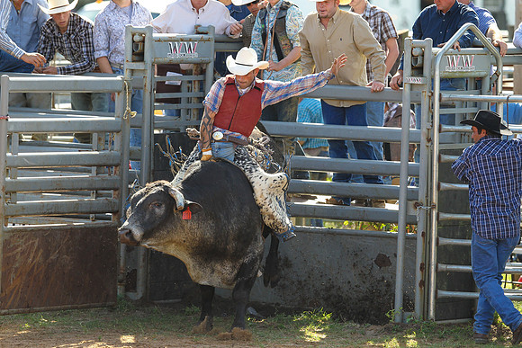 Bull Riding-192