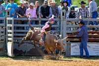 Bull Riding-11