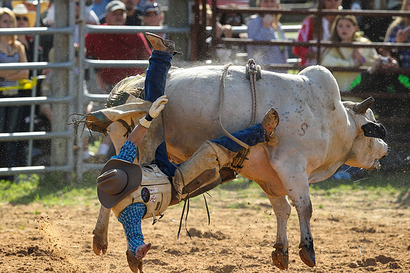 Bull Riding-189