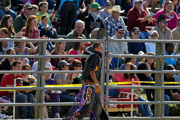Bull Riding-126