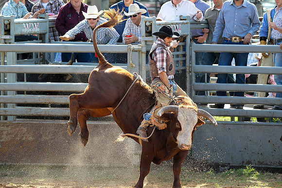 Bull Riding-235