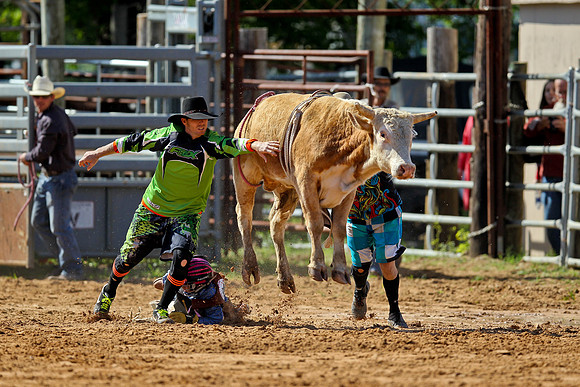 Bull Riding-46