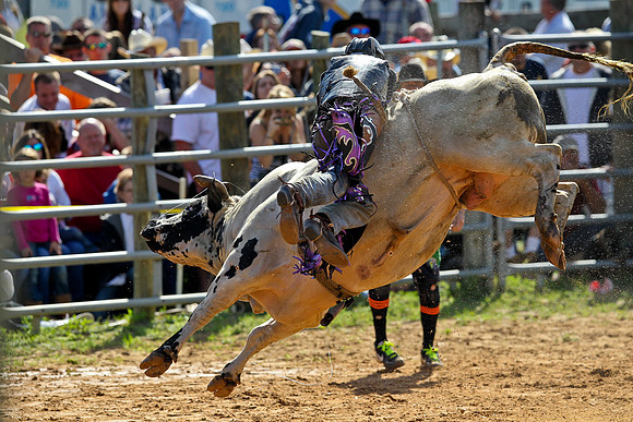 Bull Riding-125
