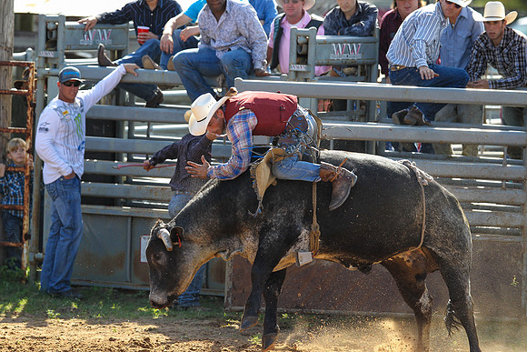 Bull Riding-197