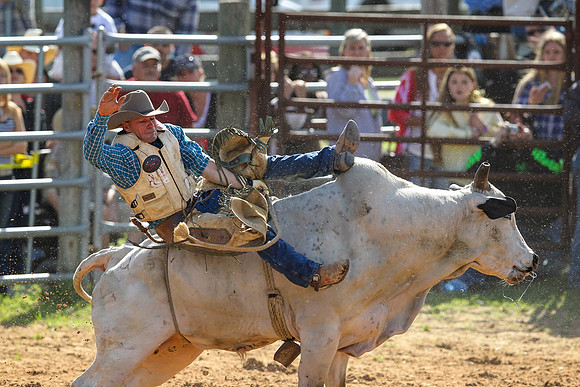 Bull Riding-187