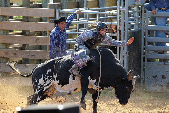 Bull Riding-213