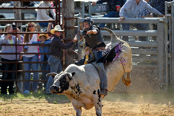 Bull Riding-122