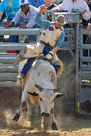 Bull Riding-167