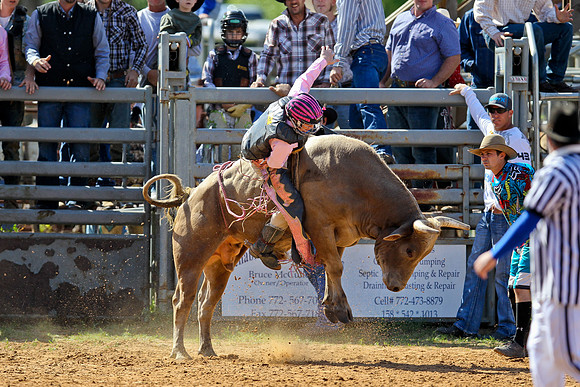 Bull Riding-16