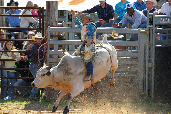Bull Riding-182
