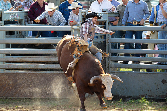 Bull Riding-233