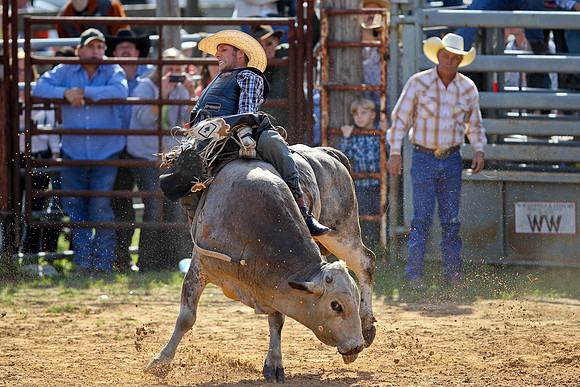 Bull Riding-91