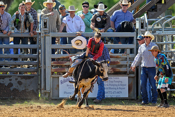 Bull Riding-52