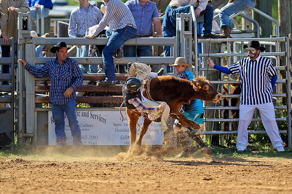 Bull Riding-27