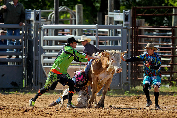 Bull Riding-42