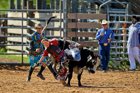Bull Riding-71